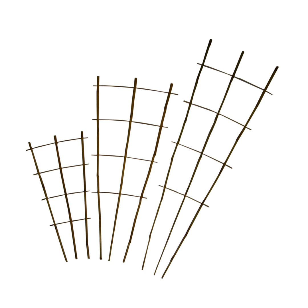 Natural Bamboo Stakes for Plants - Greenhouse Megastore