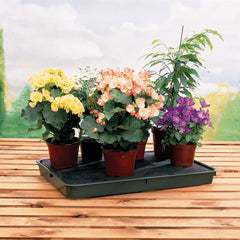 15cm Round plant pot carry tray — Plant Pots Direct
