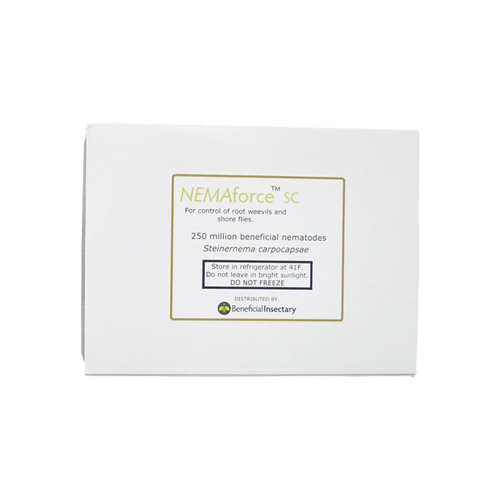 NEMAforce™ SF  Beneficial Insectary