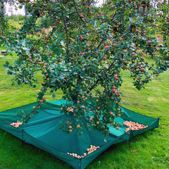 Planto Fruit Picking Bag - Greenhouse Megastore