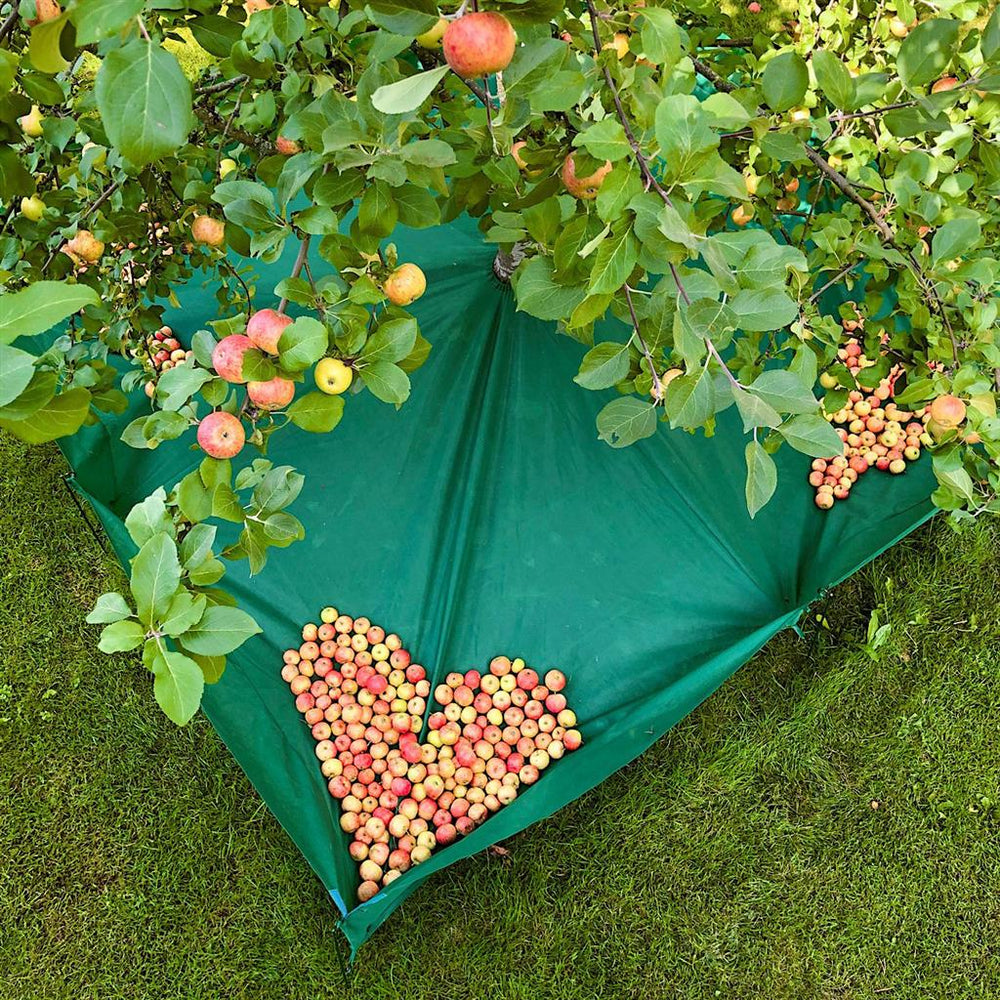 Ashland® Garden Fresh Faux Fruit Bag of Green Apples