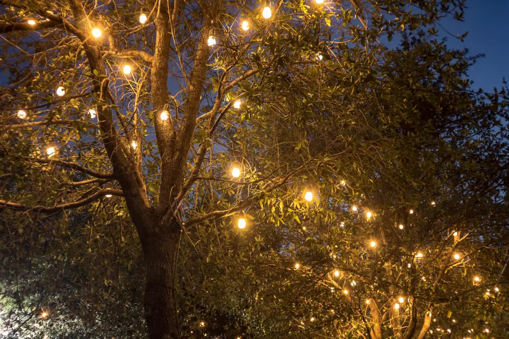 6 Best Outdoor Lighting Ideas for This Summer – Ollny