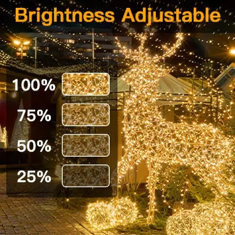 Ollny's 600 leds green wire warm white Christmas lights with 4 brightness levels
