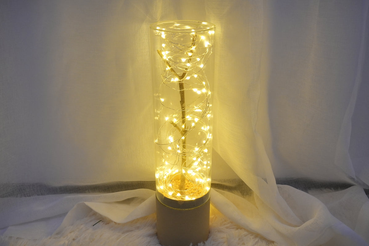 Remote Control LED Fairy Lights, USB, Copper Wire, 32 ft