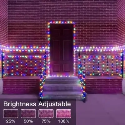 Ollny's 400 leds warm white/multicolor string lights with 4 brightness levels