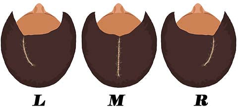 position de raie des cheveux