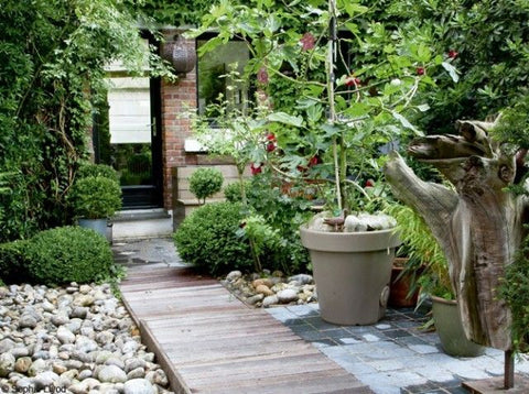 Pintar piedras para decorar el jardín o la terraza