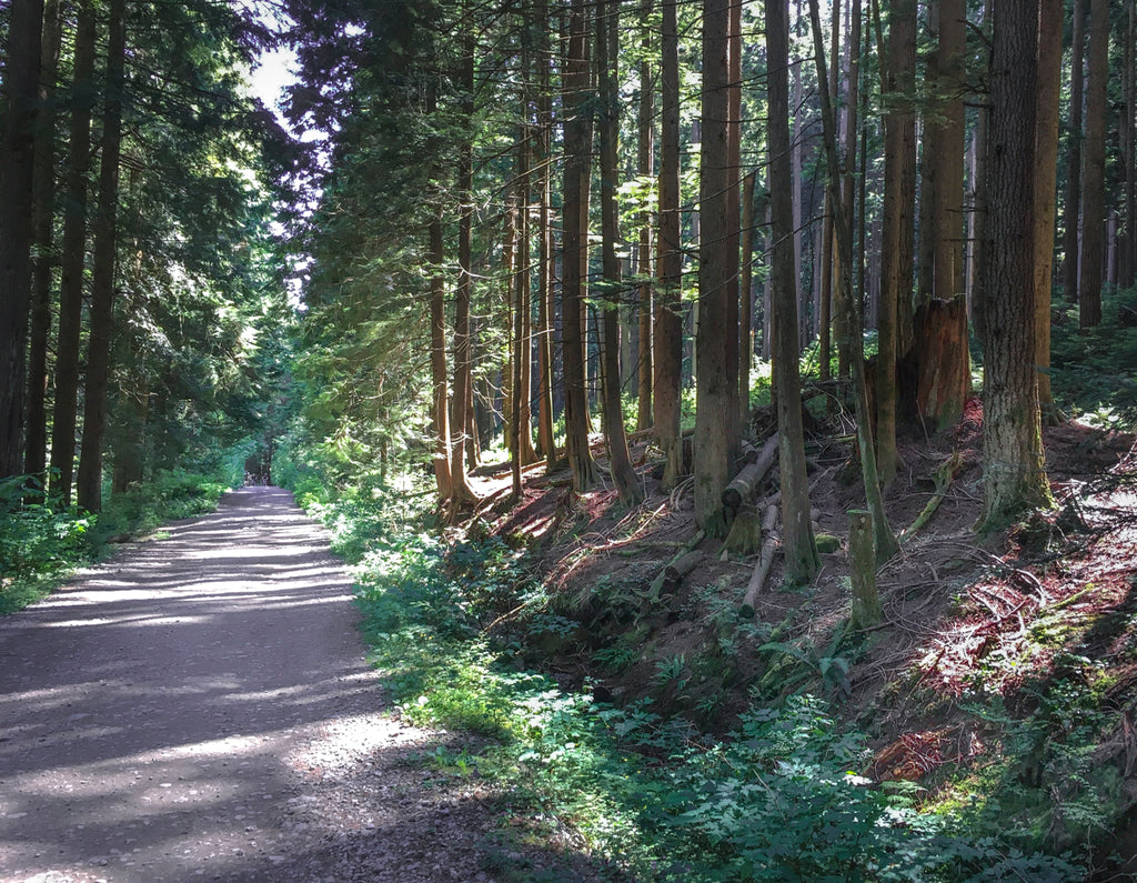 Mount Fromme gravel road