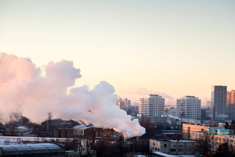 Cambridge Mask Co Comprehending Urban Pollution