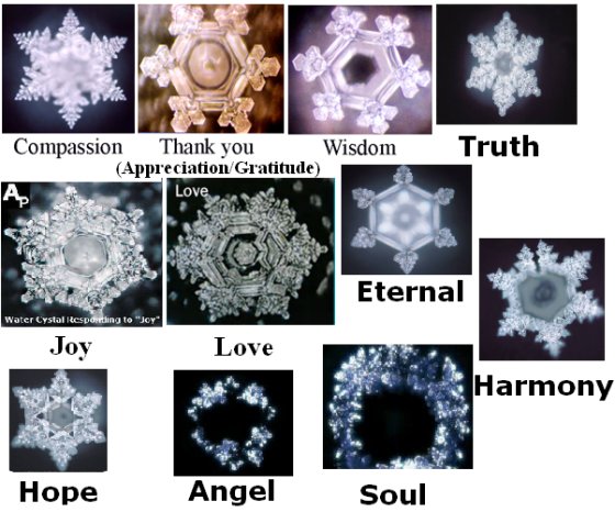 Dr Emoto's Experiment Showing the Influence of Words on Ice Crystals