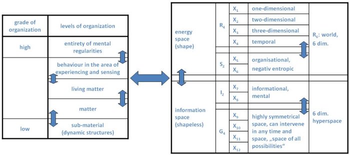 Burkhard Heim Feedback System in 12 Dimensions