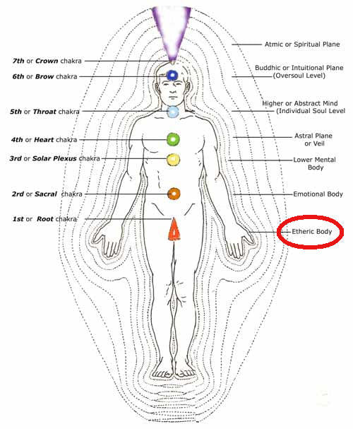 The Human Etheric Body