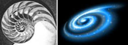   The seashell (left) and the spiral galaxy (right) bare an uncanny resemblance.