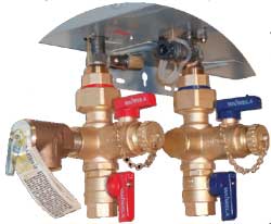 Waiwela Thread Tankless Installation Valves with PRV (WTIV-TRD-SB-P)