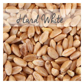 Hard White Wheat