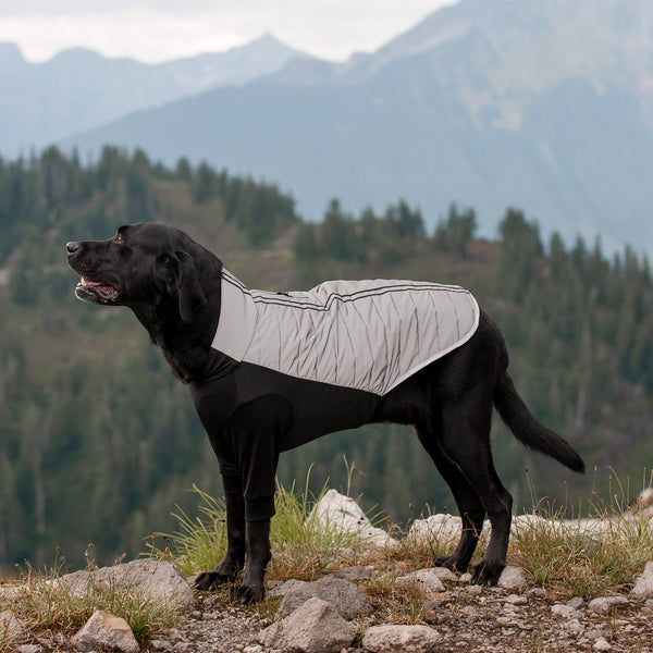 A black dog wearing a FurHaven brand reflective jacket, standing on top of a rocky outcropping in the mountains