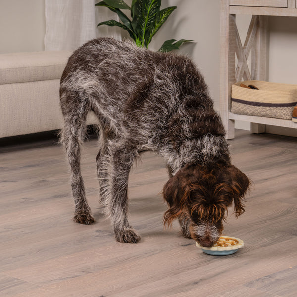 A dog using the FurHaven Paws N' Play slow feeder toy