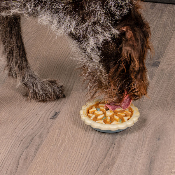 A brown, shaggy dog standing on hardwood, eating some treats out of a FurHaven Paws n' Play Slow Feeder