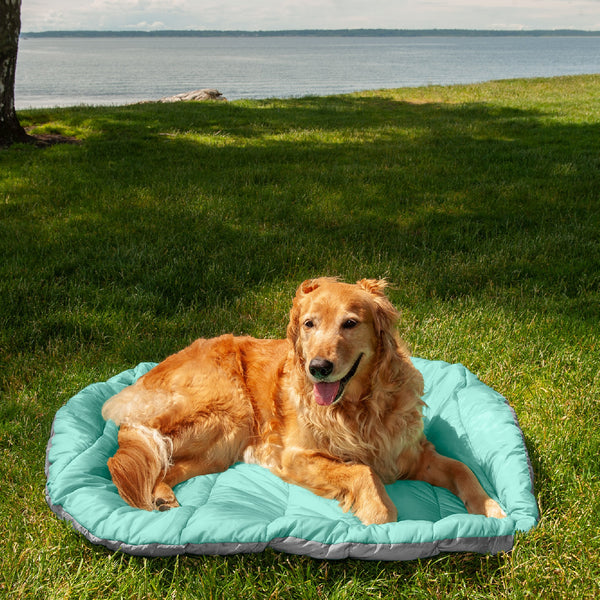 A golden retriever lying on a Trail Pup Stuff Sack Pillow from FurHaven Pet Products