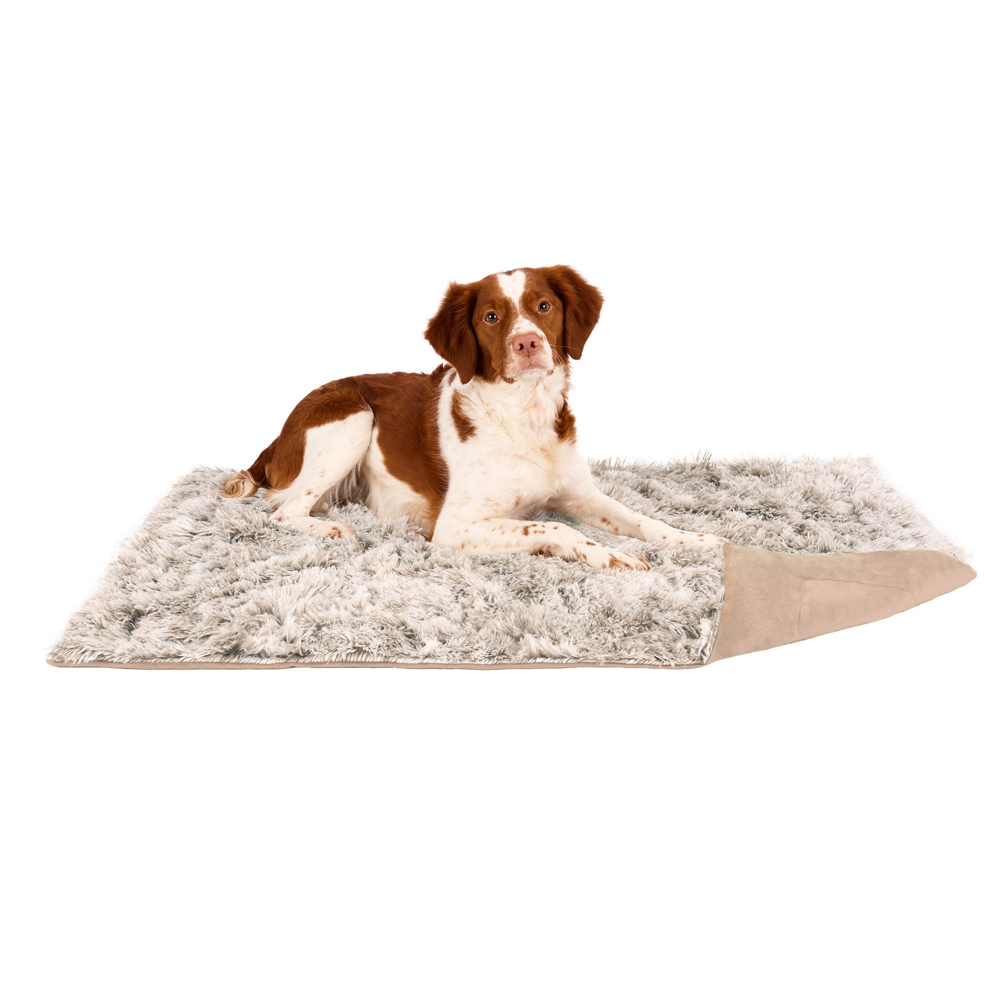 Waterproof Pet Throw Blanket - Long Fur & Velvet-image-35