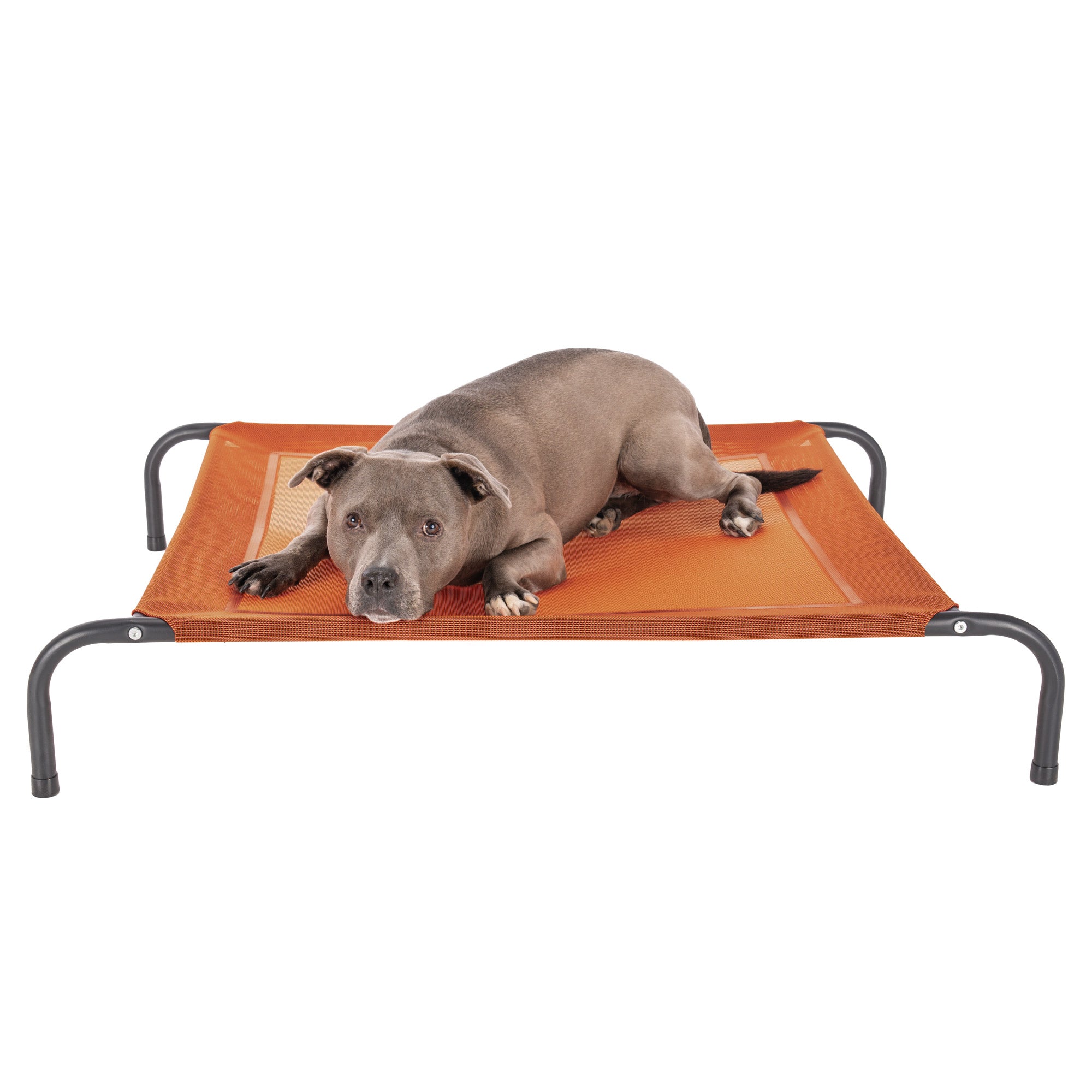 Water Resistant Elevated Pet Cot - Reinforced Mesh