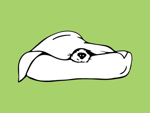 A doodle of a dog burrowed up under on a blanket sleeping on a green background at FurHaven