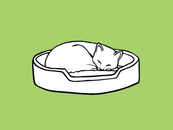 A doodle of a cat curled up sleeping on a green background at FurHaven