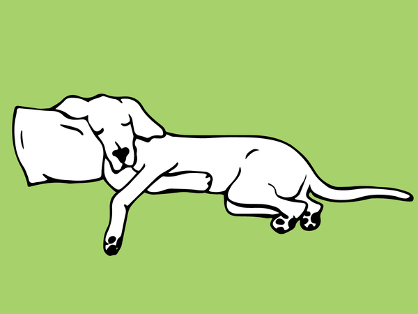 A doodle of a dog leaning on a pillow sleeping on a green background at FurHaven