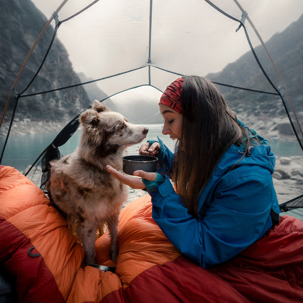 A dog and a human in a tent situated in a misty mountain range overlooking a body of water down the center