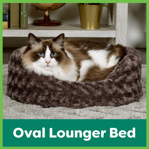 A white and brown fluffy cat sleeps in an oval brown FurHaven pet bed.