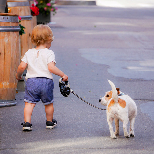 A small child takes a small white and brown dog on a walk, from Furhaven Pet Products