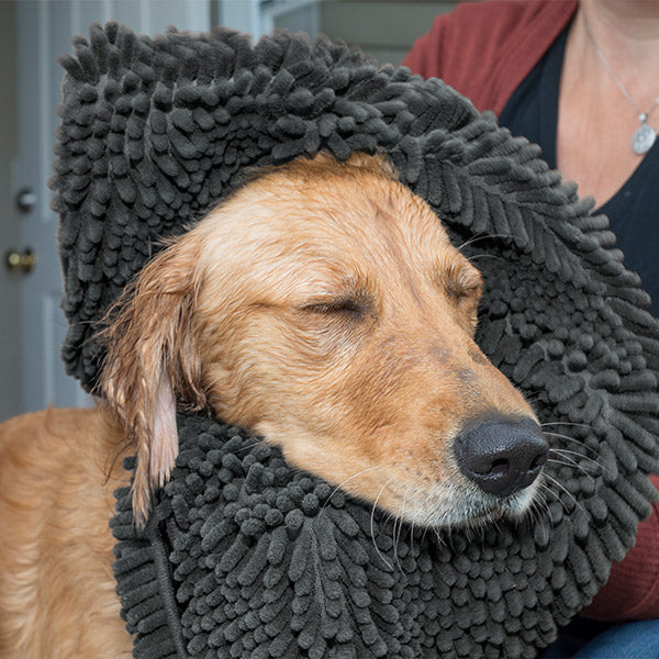 A golden dog using a gray FurHaven Muddy Paws Pet Towel & Shammy Dog Rug