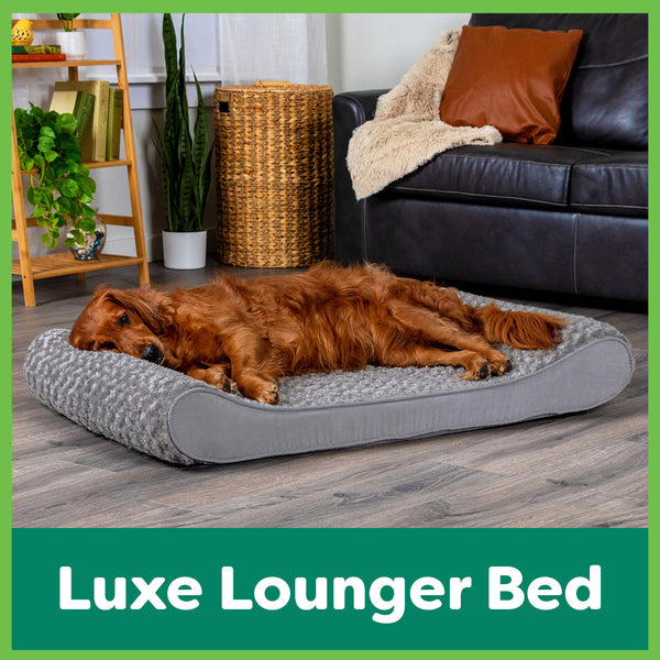 A golden retriever sleeps in a gray FurHaven Lux Lounger contour bed with a curved U shaped sleep profile.