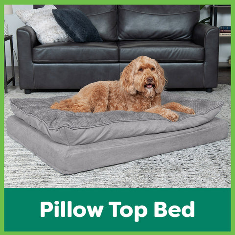 A golden doodle sleeps in a rectangular gray FurHaven pillow top pet bed.