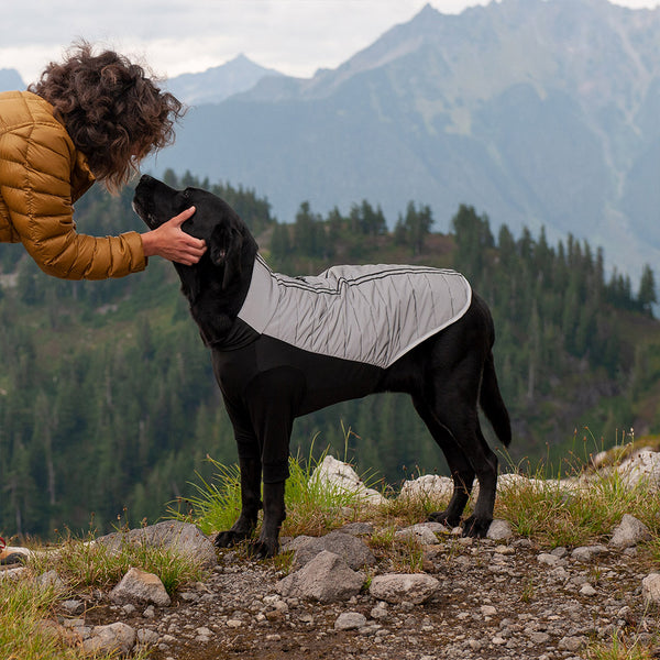 A human and a dog on a rocky mountain ridge, with a misty treeline in the background. The dog is wearing a FurHaven Water-Repellent Reflective Active Pro-Fit Dog Coat.