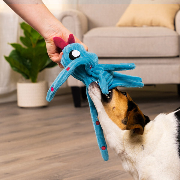 A dog and a human playing tug of war using the blue FurHaven Blip Alien Toys