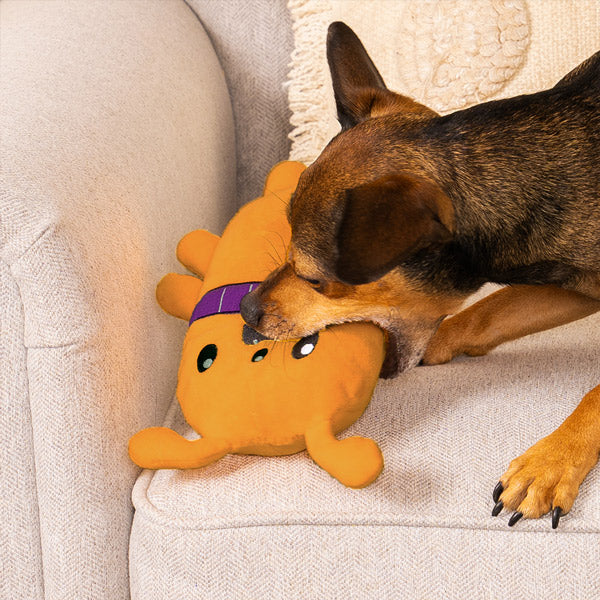 A brown dog on the couch biting FurHaven's Hubble the Martian toy 