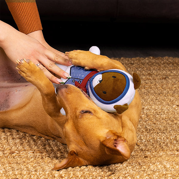 A small, brown dog plays tug with a human on the floor using FurHaven's Luna the Astronaut toy