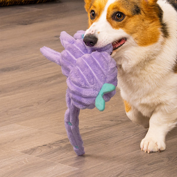 A corgi walking, holding the lavender FurHaven Blip Alien Toy