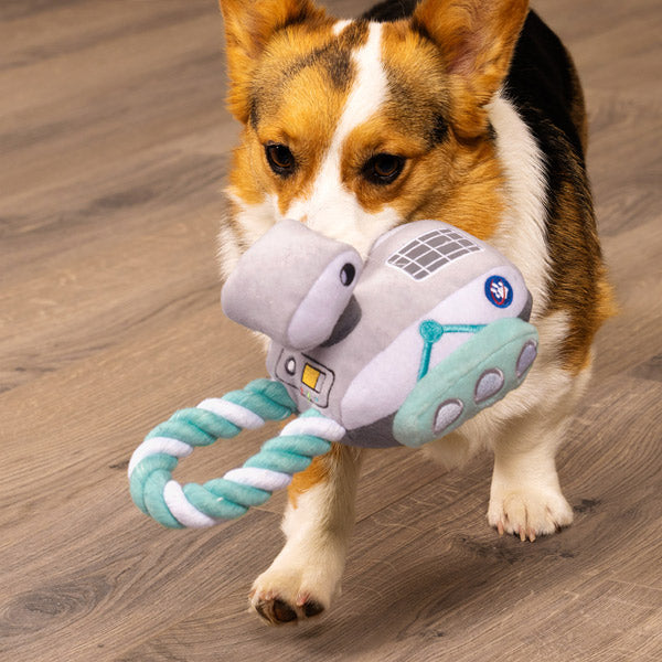 A corgi walks across hardwood floor carrying a FurHaven Rover toy 