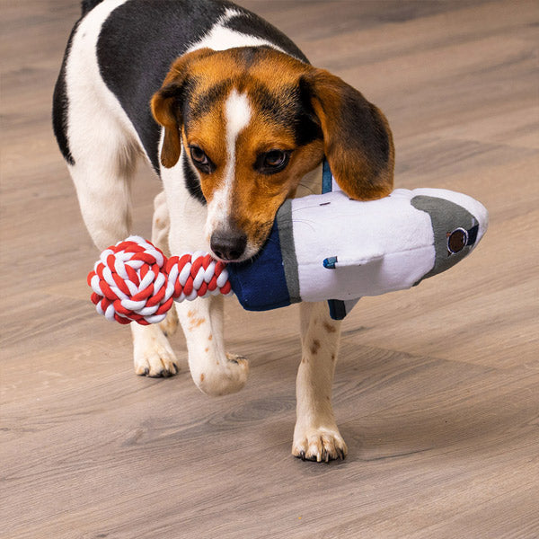 A beagle dog carries a FurHaven Rover toy across hardwood floor 