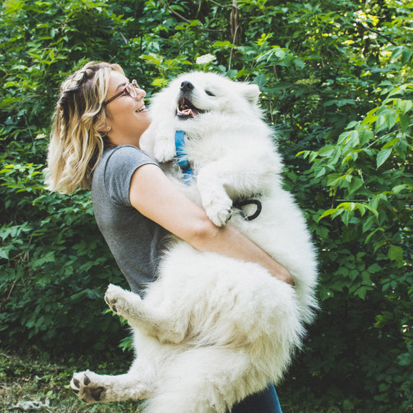 A human holding up their enormous white Pyrenees dog in a woody, green, forested area, from FurHaven Pet Products