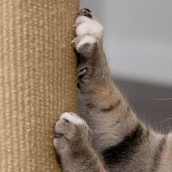 A gray cat's paws scratching on a FurHaven Carpet Post Cover