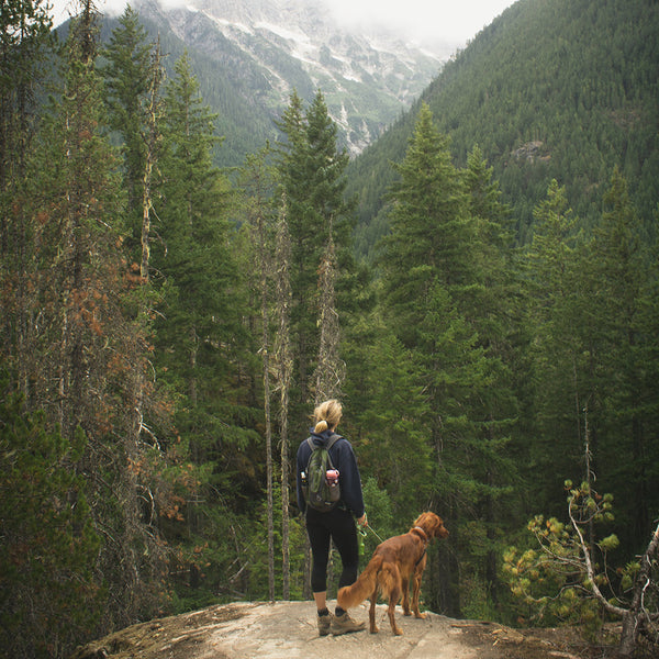 A human and a golden retriever standing next to each other on a small hill in a clearing in a mountainous forest at FurHaven Pet Products