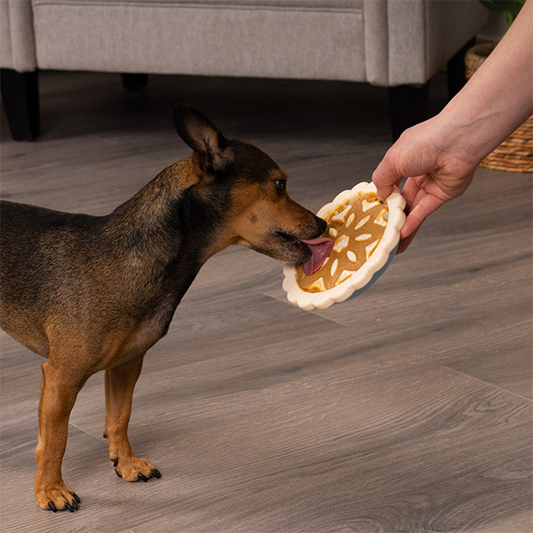 A dark brown dog being fed a tasty treat from a FurHaven Paws n' Play Slow Feeder toy