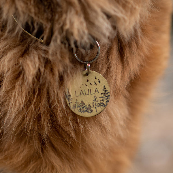 A brown dog with a nametag that says "Laula", at FurHaven Pet Products