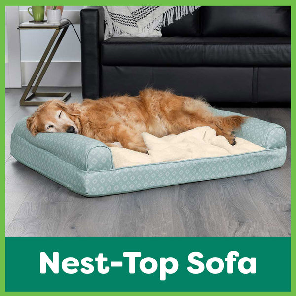 A golden retriever is asleep in a white and brown colored FurHaven Pet Bed.