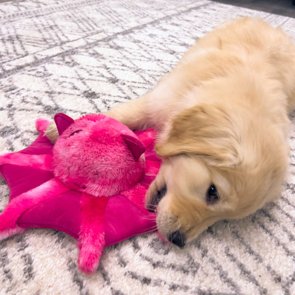 A yellow retriever puppy lays on a white and grey carpet chewing on a pink squid plush dog toy at Furhaven Pet Products.