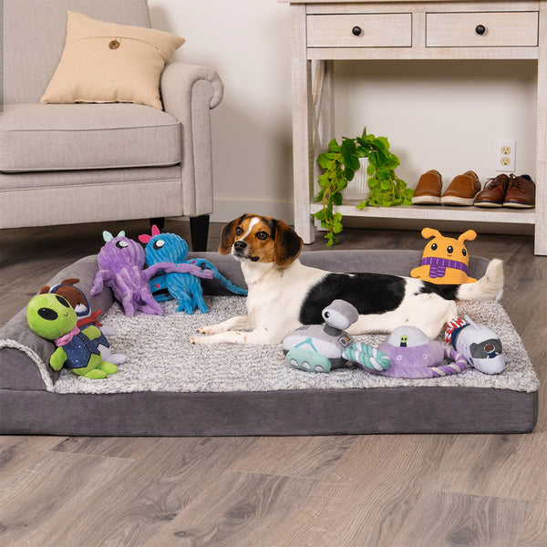 A white, black, and brown beagle dog lays in a purple bed surrounded by outter space themed plush dog toys at FurHaven Pet Products