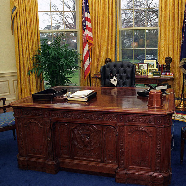 Socks, the Chief Executive Cat, posing at the president's desk in the White House, from FurHaven Pet Products